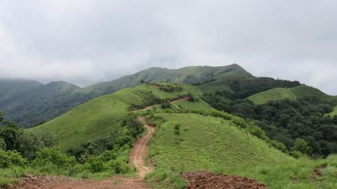 চিক্কামাগালুরু বন কর্মকর্তারা 580 একর বনভূমির উপর দখল সংক্রান্ত দুটি Google Preferred Source