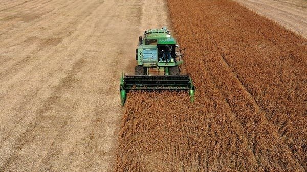 বাণিজ্য যুদ্ধের সময় চীন যুক্তরাষ্ট্রের সাথে বাণিজ্য বন্ধ করার পর বাণিজ্য যুদ্ধের সময় চীন যুক্তরাষ্ট্রের সাথে বাণিজ্য বন্ধ করার পর ব্রাজিলের কৃষকরা সয়াবিনের উৎপাদন বাড়াচ্ছে
 | BanglaKagaj.in