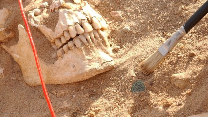 রাশিয়া থেকে পালিয়ে যাওয়ার সময় নেপোলিয়নের সেনাবাহিনীকে সত্যিই কী হত্যা রাশিয়া থেকে পালিয়ে যাওয়ার সময় নেপোলিয়নের সেনাবাহিনীকে সত্যিই কী হত্যা করেছিল: সৈন্যদের দাঁতের অধ্যয়ন দুটি মারাত্মক প্যাথোজেন প্রকাশ করে যা 'ফরাসি সেনাদের ধ্বংসাত্মক আক্রমণে ধ্বংস করেছিল'
 | BanglaKagaj.in