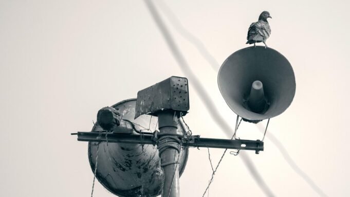 Google Preferred Source