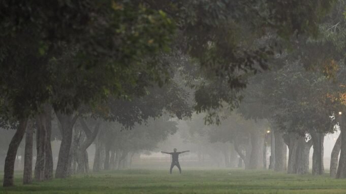 একটি নতুন গবেষণা ডায়াবেটিসের ঝুঁকি সম্পর্কে কী দেখায়? | ব্যাখ্যা Google Preferred Source