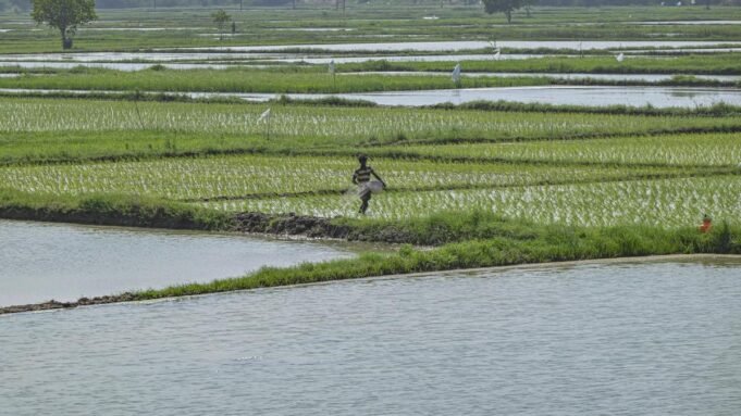 Google Preferred Source