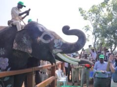 পবন কল্যাণ চিত্তুরে মানব-হাতি সংঘর্ষ মোকাবেলায় কুমকি ক্যাম্প, একটি হনুমান প্রকল্প চালু করেছেন
| BanglaKagaj.in Google Preferred Source