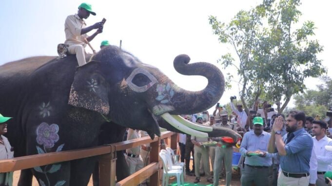 পবন কল্যাণ চিত্তুরে মানব-হাতি সংঘর্ষ মোকাবেলায় কুমকি ক্যাম্প, একটি হনুমান Google Preferred Source