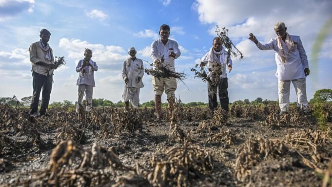 Google Preferred Source