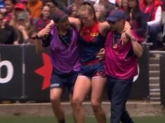 মূল গোলরক্ষক বাদ পড়ায় ডিসের কাছে বড় ধাক্কা
| BanglaKagaj.in মূল গোলরক্ষক বাদ পড়ায় ডিসের কাছে বড় ধাক্কা
| BanglaKagaj.in