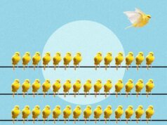 সাহস আপনাকে আপনার জীবনে এবং কর্মক্ষেত্রে সাহসী পদক্ষেপ নিতে সাহায্য করতে পারে। এখানে কিভাবে
| BanglaKagaj.in সাহস আপনাকে আপনার জীবনে এবং কর্মক্ষেত্রে সাহসী পদক্ষেপ নিতে সাহায্য করতে পারে। এখানে কিভাবে
| BanglaKagaj.in